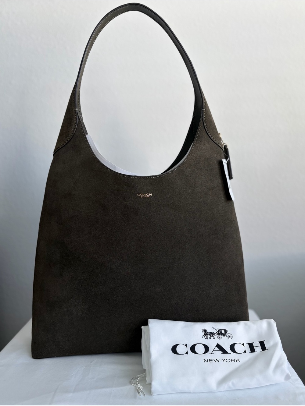 Coach Suede Shoulder Hobo Bag in Olive